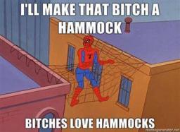 spiderman-bitches-love-hammocks.jpg