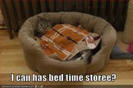 cat-bedtime-storee.jpg