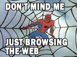 spiderman-browsing-the-web.jpg