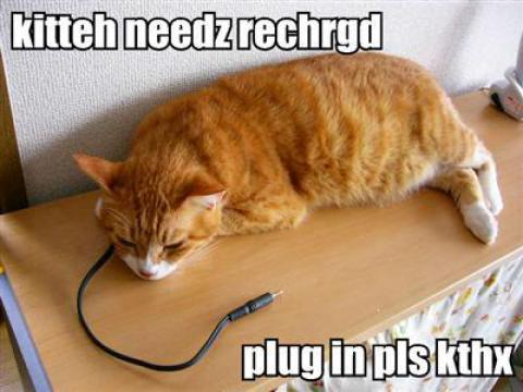 cat-recharge.jpg
