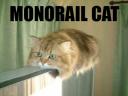 cat-monorail.jpg