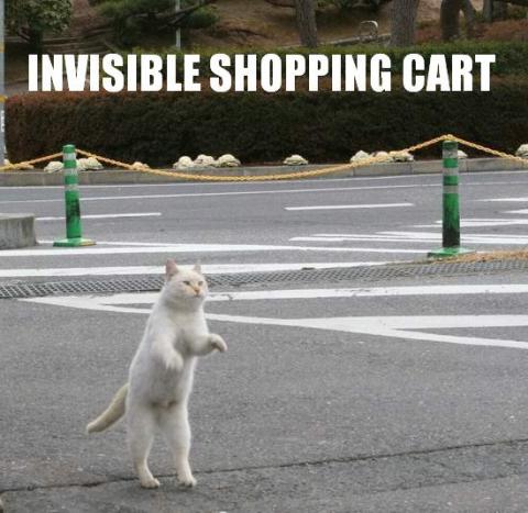 cat-shopping.jpg