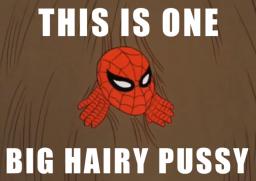 spiderman-big-hairy-pussy.png