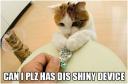 cat-shiney.jpg