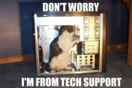 cat-techsupport.jpg