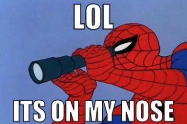 spiderman-its-on-my-nose.png