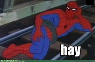 spiderman-hay.jpg