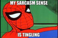 spiderman-sarcasm-sense.jpg