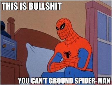 spiderman-grounded.jpg