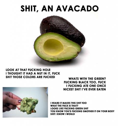 avacado.jpg