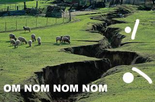 omnomnom-field.jpg